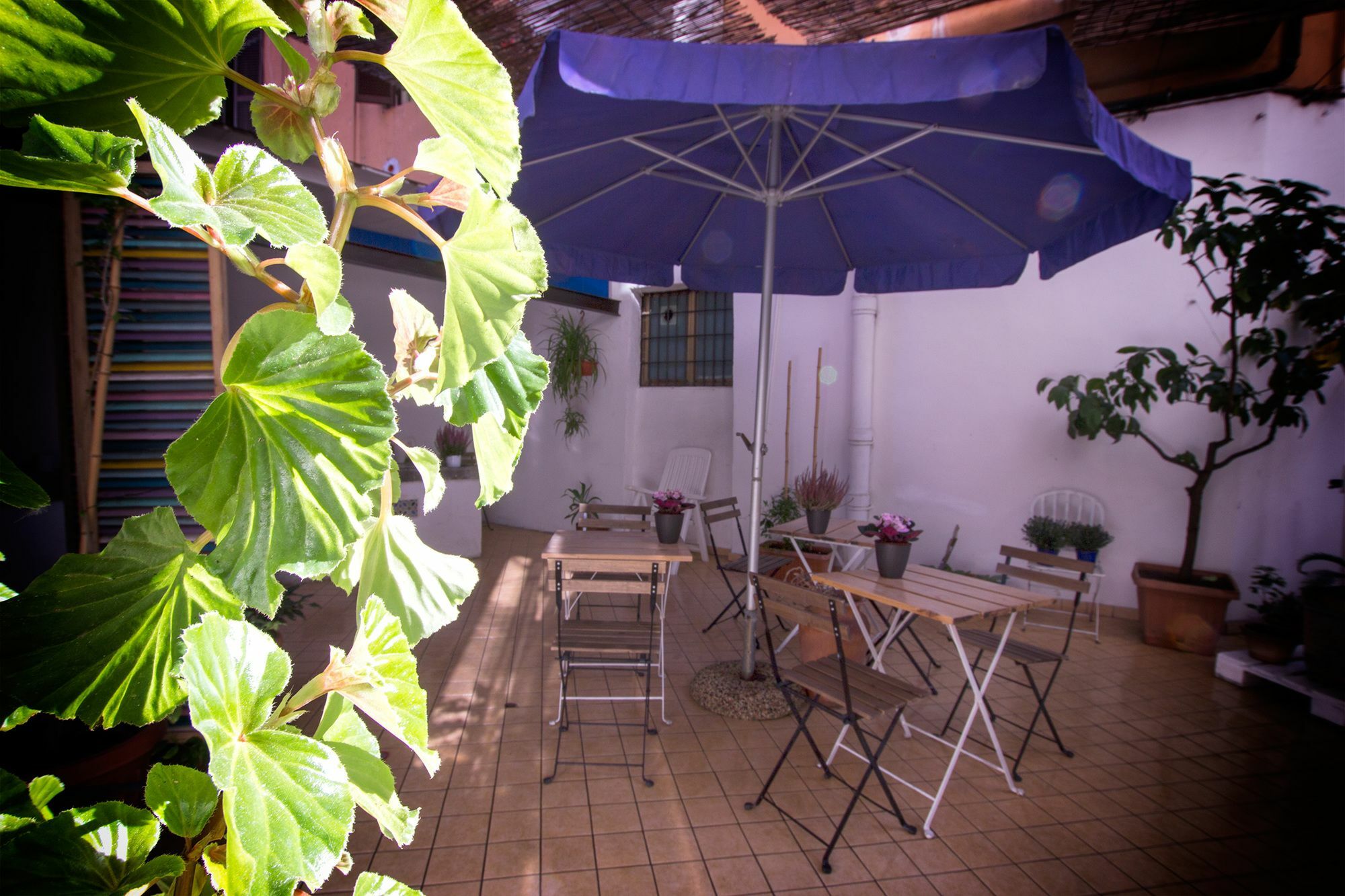 Casa Maplink Hotell Roma Eksteriør bilde